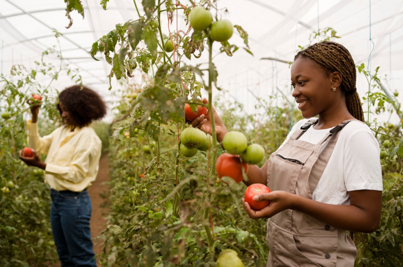 Salon de l’Agriculture et de l’Agro-industrie (SAGA)